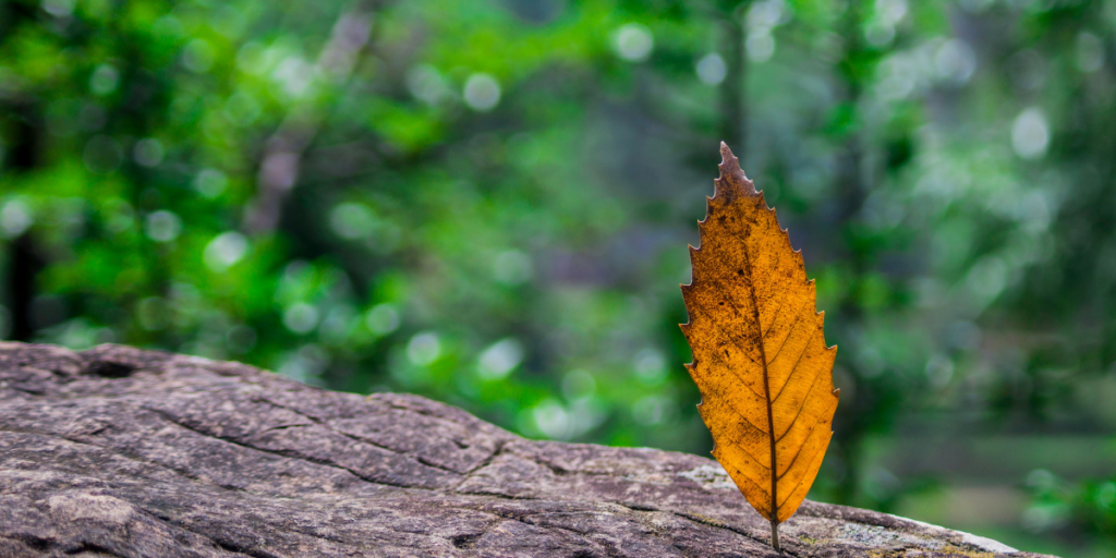 Handling Market Volatility With Confidence
