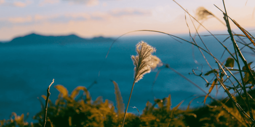 Precision Financial Planning