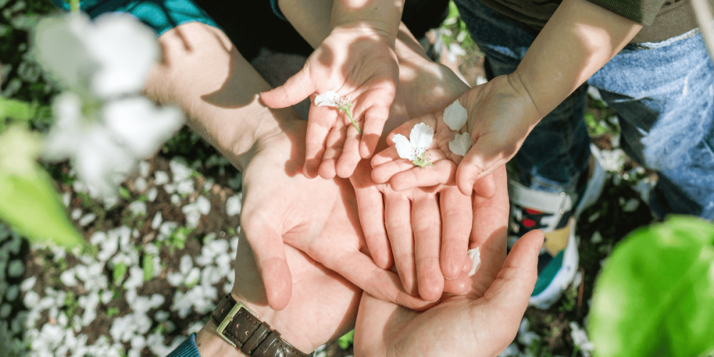 Philanthropic Wealth Planning