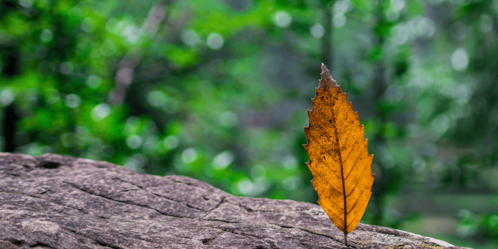 Handling Market Volatility With Confidence